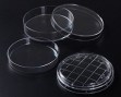 petri-1